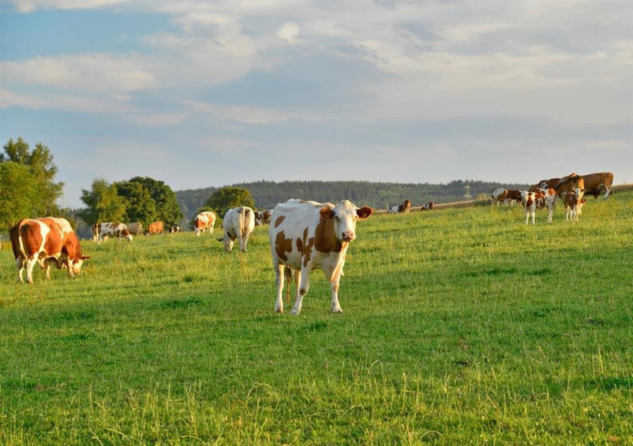 Ferienhof Kuerschner Drebach Esterno foto