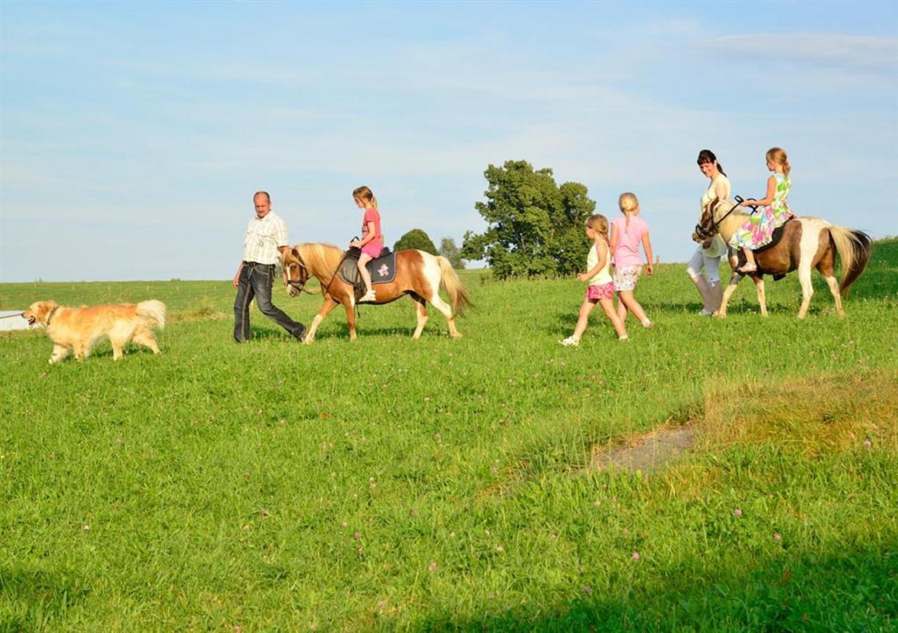 Ferienhof Kuerschner Drebach Esterno foto